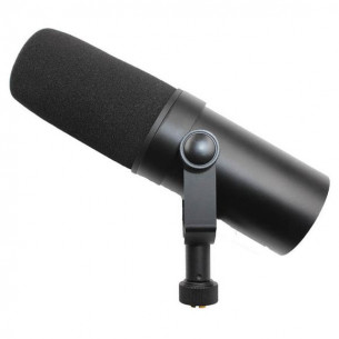 RECORD - Microphone...