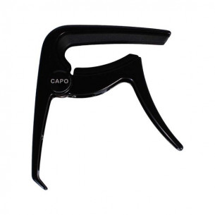 Shelter - Electric and...