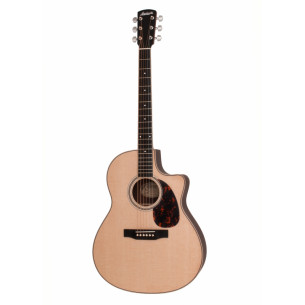 LARRIVÉE Guitars - Guitare...