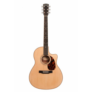 LARRIVÉE Guitars - Guitare...